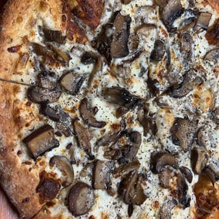 16" Mikey's Bad Trip